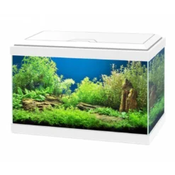 Acuario Ciano Blanco Aqua 20 Con Luz 17 Litros