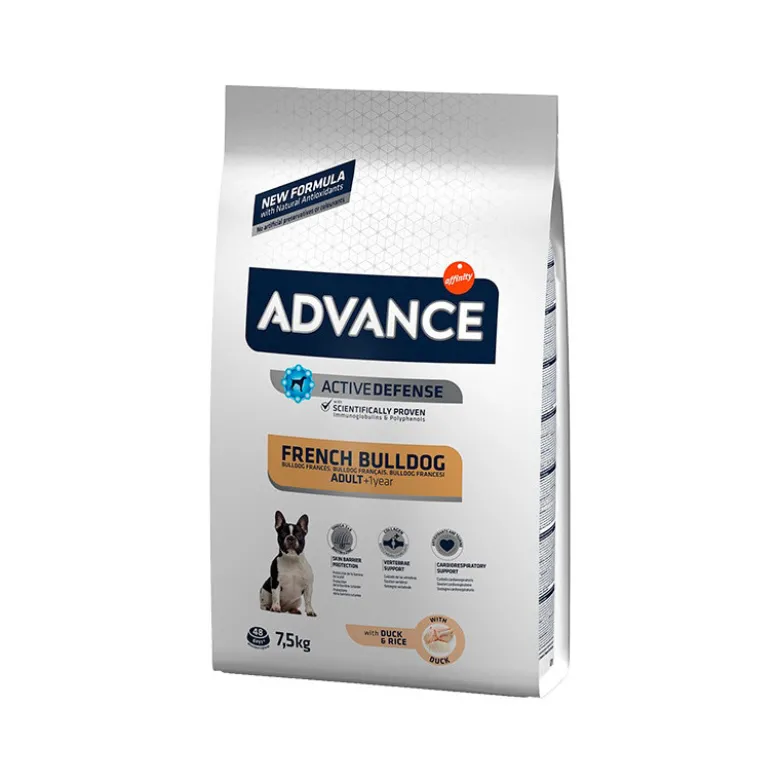 Advance Bulldog Frances