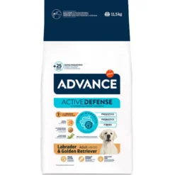 Advance Labrador Retriever Adulto
