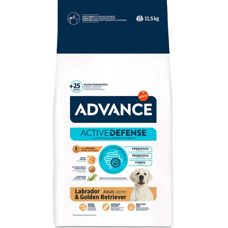 Advance Labrador Retriever Adulto