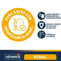 Advance Renal Failure Feline