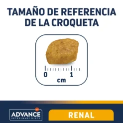 Advance Renal Failure Feline