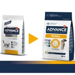 Advance Renal Failure Feline