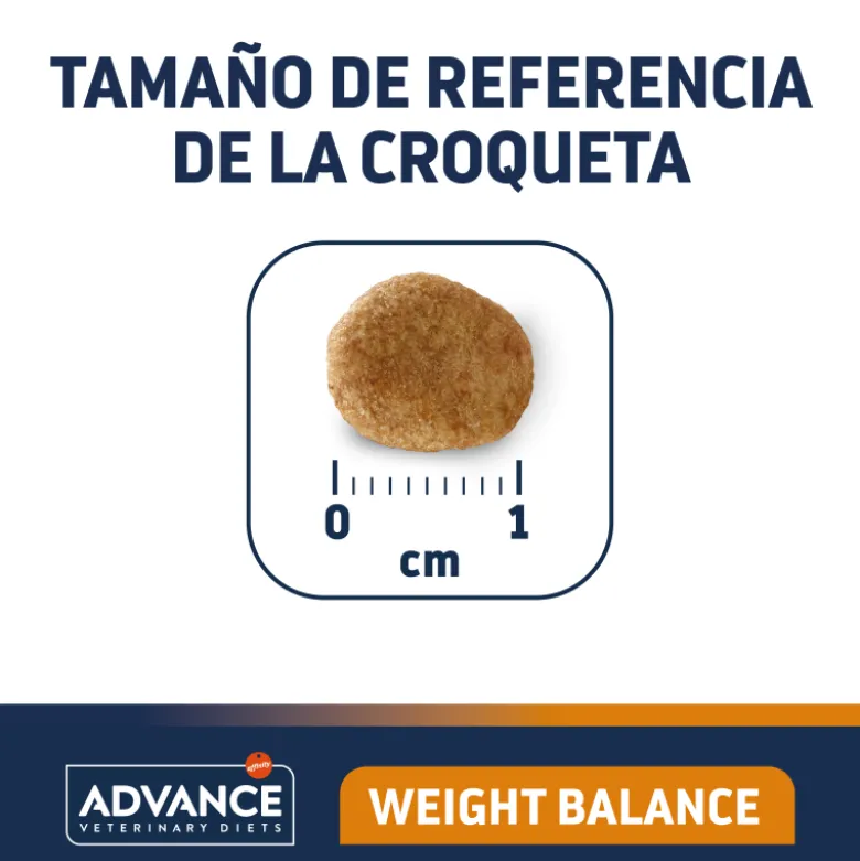 Advance Weight Balance Gato