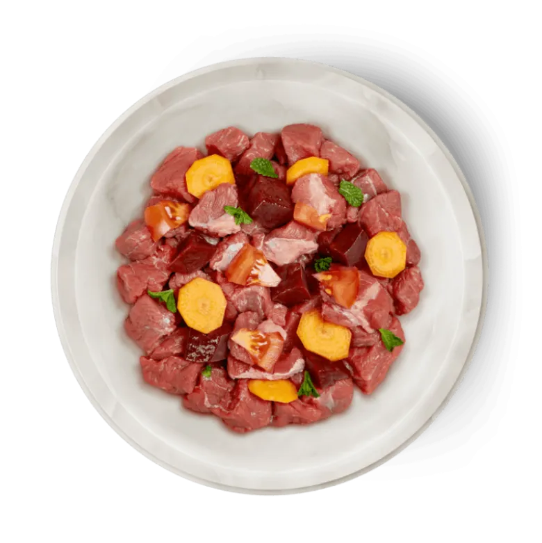 Alimento Terra Felis Buey para Gatos