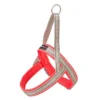 Arnés Shiva Sport para Perros