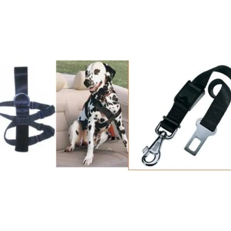 Arquivet Arnés + Cinturon De Seguridad