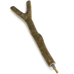 Arquivet Percha de Madera en Forma de Y 20cm para Loros