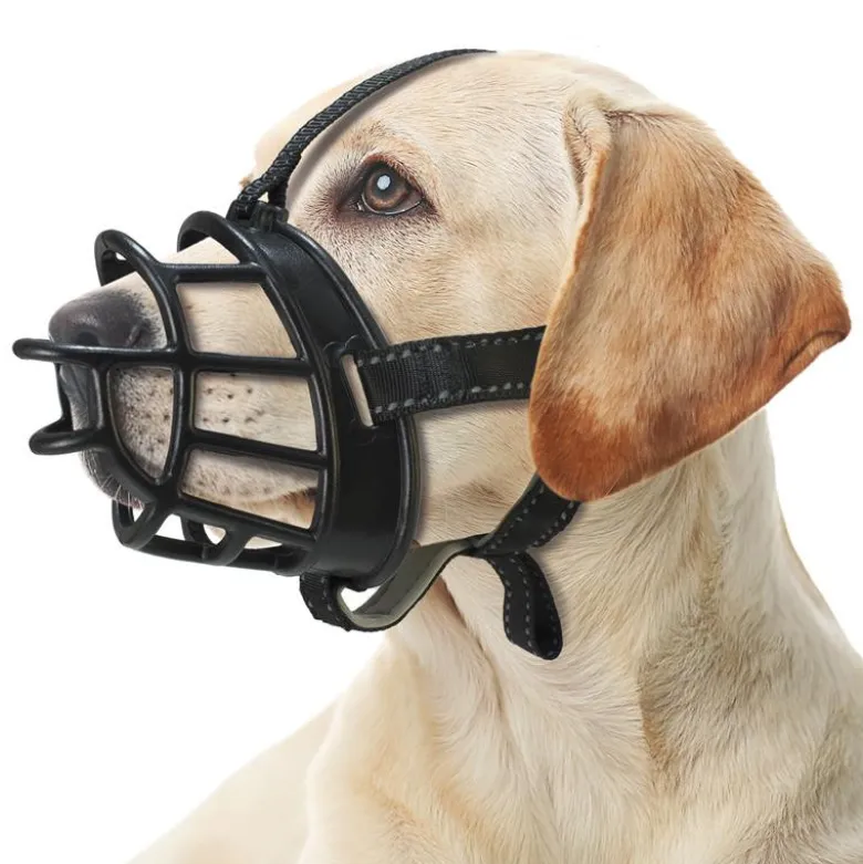 Bozal Arquivet para Perros