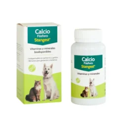 Calcio Fosforo Stangest para Perros y Gatos