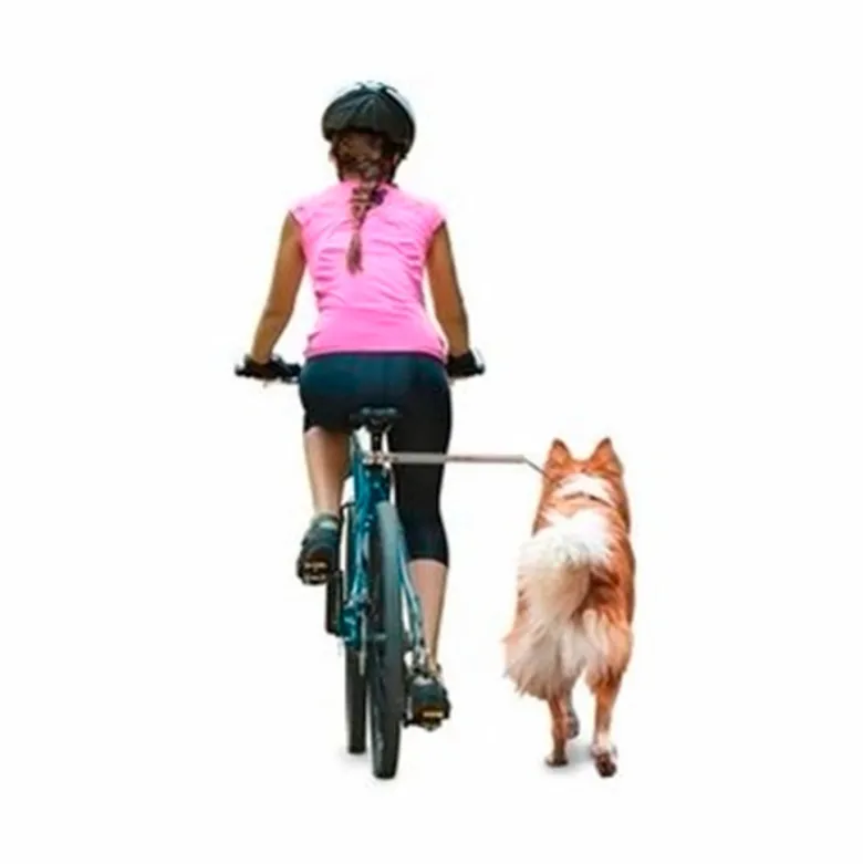 Camon Walkydog Plus para Paseos en Bicicleta