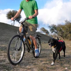 Camon Walkydog Plus para Paseos en Bicicleta
