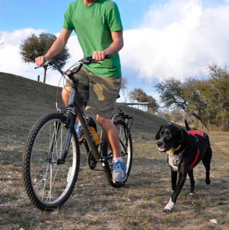 Camon Walkydog Plus para Paseos en Bicicleta