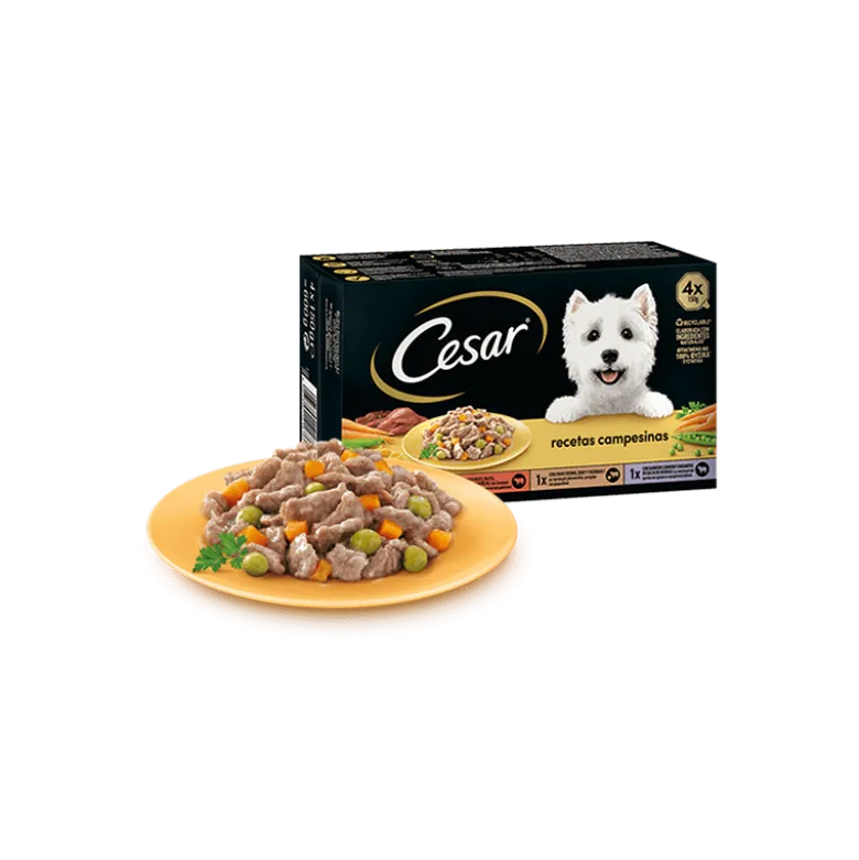 Cesar Multipack Receta Campesina Selección Especial 4x150g