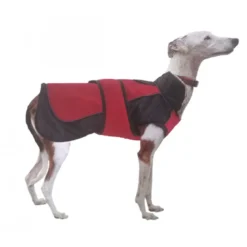 Chaqueta Impermeable Resistant X-TREK Rojo