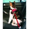 Cinturón de Seguridad Regulable Para Gatos