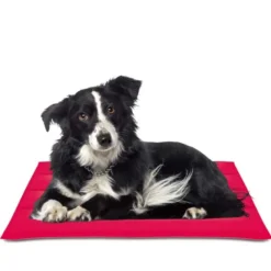 Colchoneta Cool Mat Nayeco Refrescante para Perro