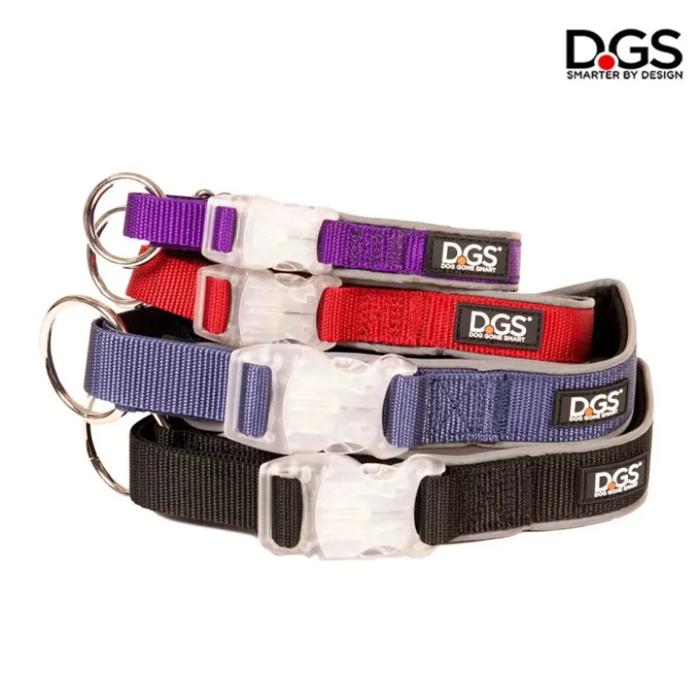 Collar Comet Luminoso Recargable para Perros