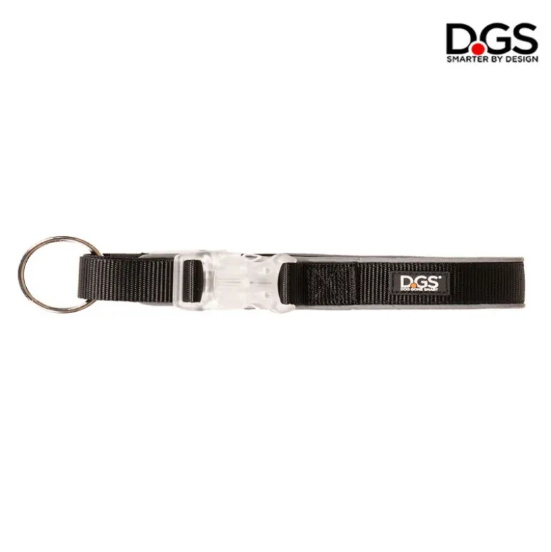 Collar Comet Luminoso Recargable para Perros