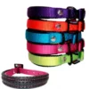 Collar de Nylon Confort Acolchado