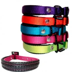 Collar de Nylon Confort Acolchado