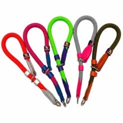 Collar Educativo de Nylon Redondo para Perros