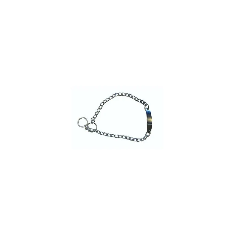 Collar Estrangulador con Placa Ribecan para Perros