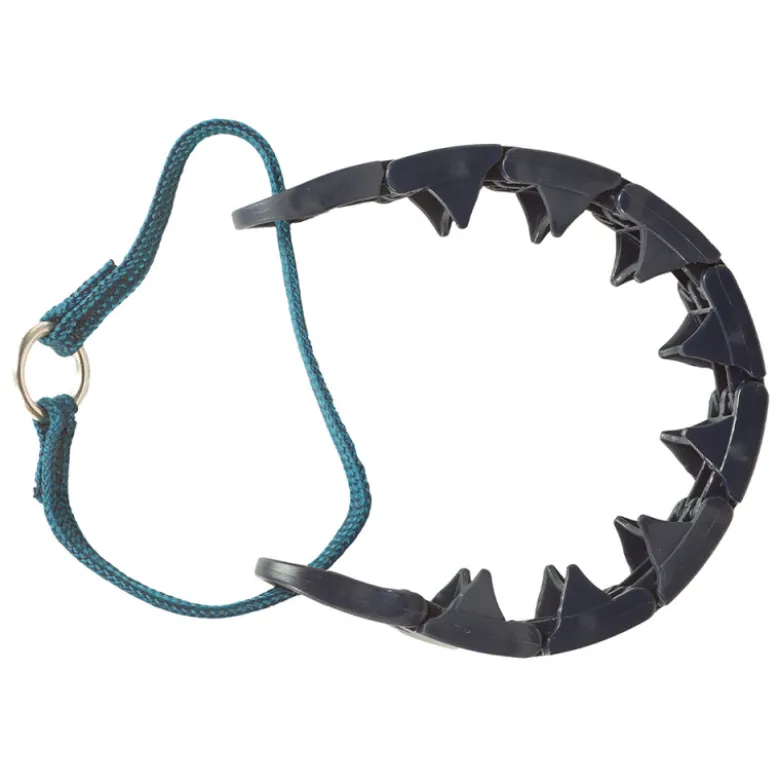 Collar Starmark de Adiestramiento Triple Corona