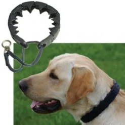 Collar Starmark de Adiestramiento Triple Corona