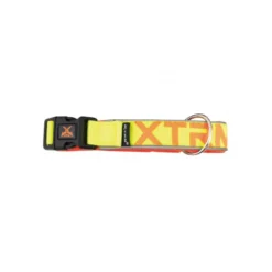 Collar X-TRM Neon Flash para Perros