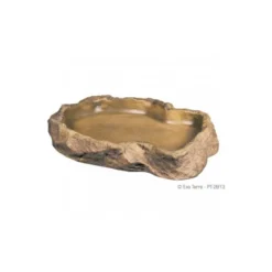 Comedero Exo Terra Grande para Reptiles