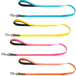 Correa Hunter Convenience para Perros