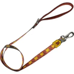 Correa Premium Harry Potter para Perros