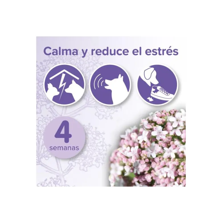 Difusor No Stress para Perros