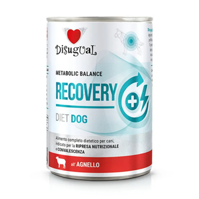 Disugual Diet Recovery de Cordero para Perros