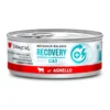 Disugual Diet Recovery de Cordero para Gatos 85g
