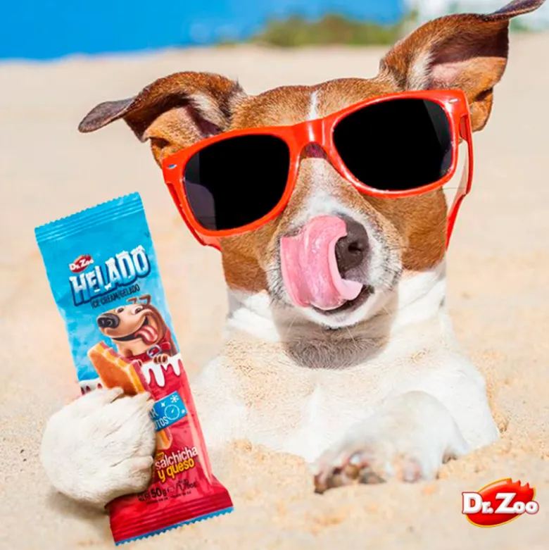 Dr. Zoo Helado para Perros 50g