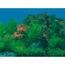 Fondo Acuario Decoración Plantas High Water x Metro