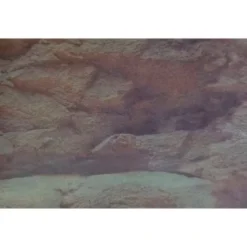 Fondo de Acuario Rock para Acuarios