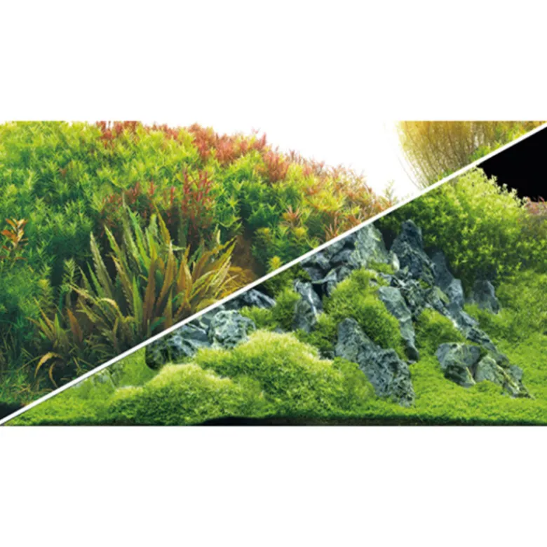 Fondo decorativo Hobby Acuarios Plant/Rocks x Metro