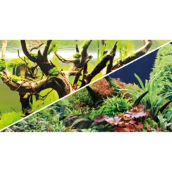 Fondo decorativo Hobby Acuarios Secret/Wood Island x Metro