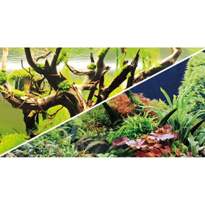 Fondo decorativo Hobby Acuarios Secret/Wood Island x Metro