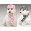 Gorra Con Bufanda A Juego Para Perros