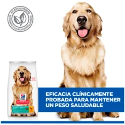 Hills Science Plan Canine Adult Large Perfect Weight Con Pollo