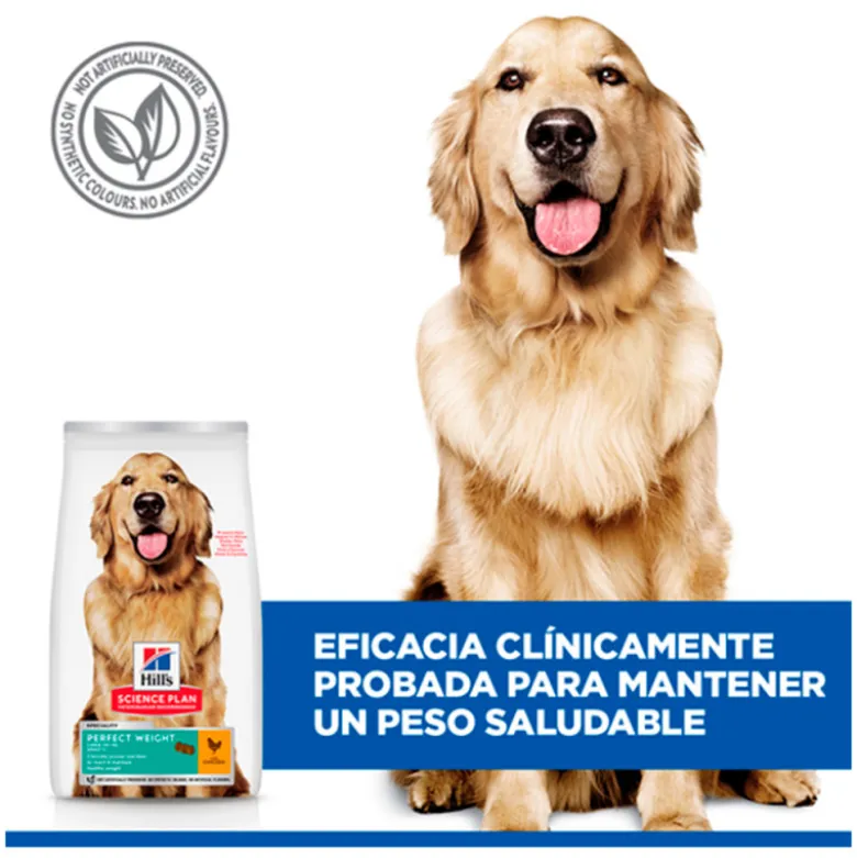 Hills Science Plan Canine Adult Large Perfect Weight Con Pollo