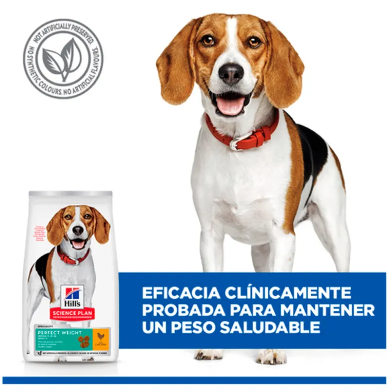Hills Science Plan Canine Adult Medium Perfect Weight Con Pollo