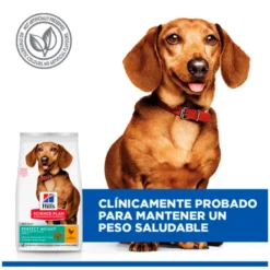 Hills Science Plan Canine Adult Mini Perfect Weight Con Pollo