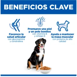 Hills Science Plan Canine Adult Razas Grandes Pollo