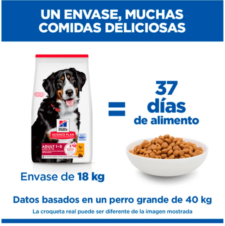 Hills Science Plan Canine Adult Razas Grandes Pollo