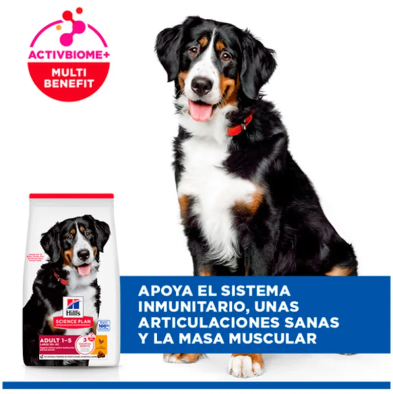 Hills Science Plan Canine Adult Razas Grandes Pollo